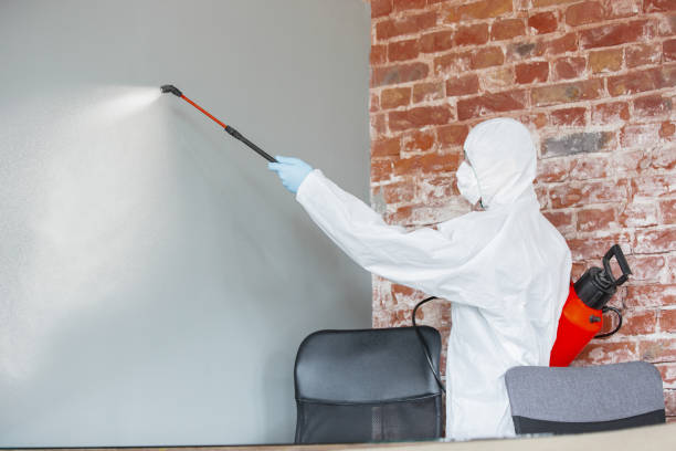 Best Airborne Mold Testing  in North Bonneville, WA