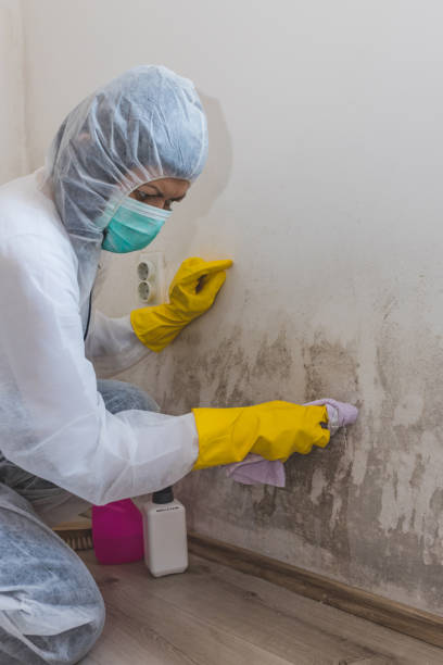Best Indoor Air Quality Assessment  in North Bonneville, WA