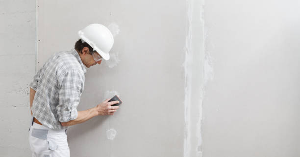 Reliable North Bonneville, WA Mold Removal Solutions