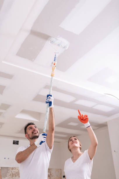 Best Basement Mold Removal  in North Bonneville, WA
