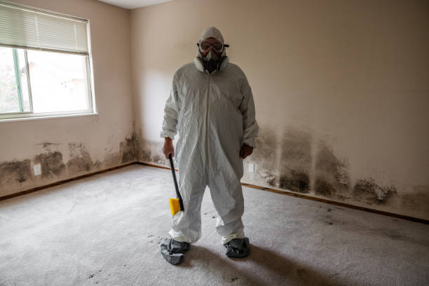 Best Mold Prevention Services  in North Bonneville, WA